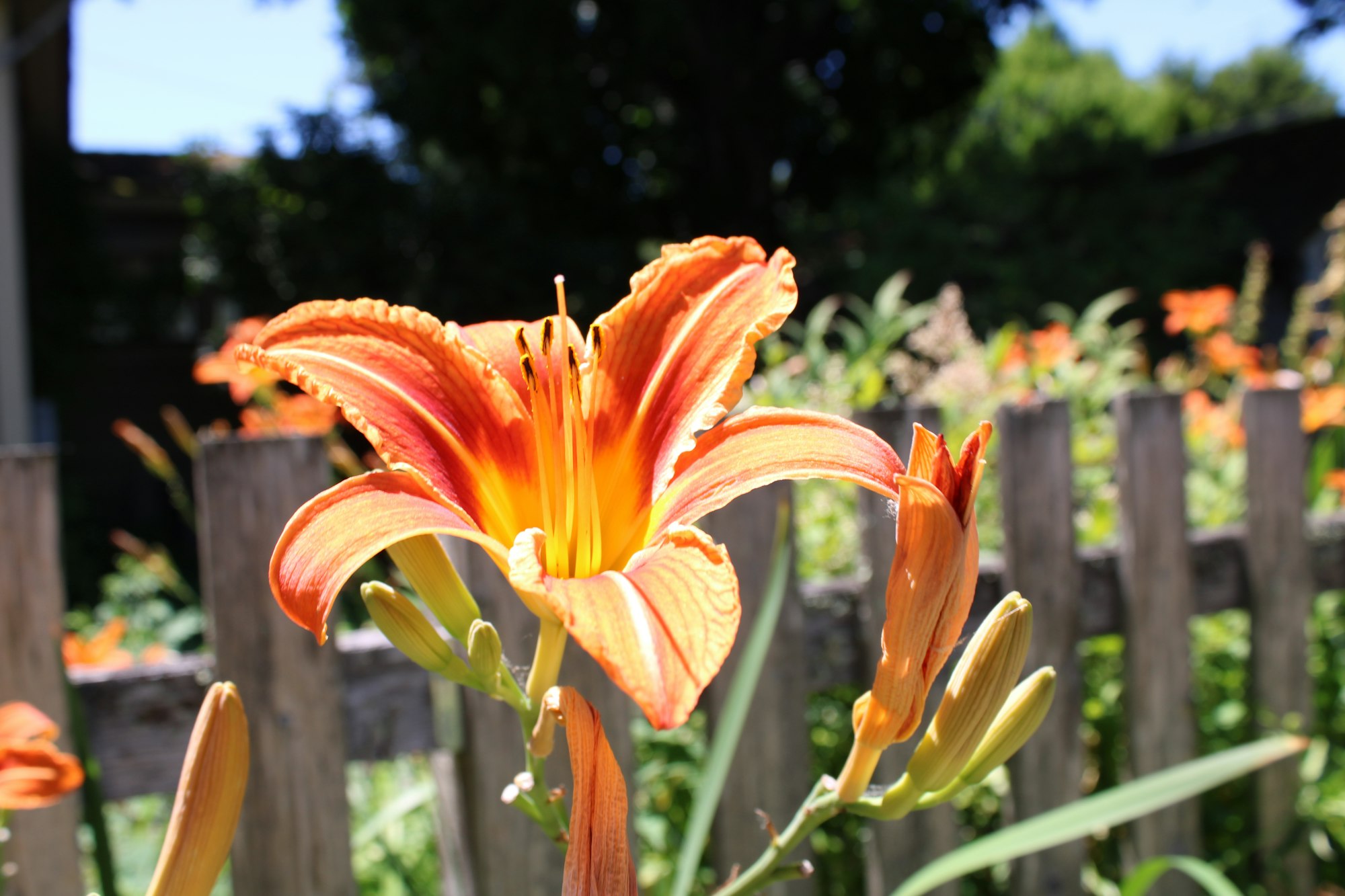 Professionally maintained commercial grounds